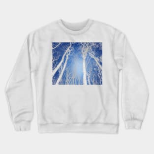 Aspen tree forest Crewneck Sweatshirt